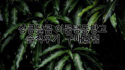상큼달콤🥭 이룸냉동망고 솔직후기 & 구매꿀팁🍯