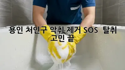 용인 처인구 악취 제거 SOS! 🏡 탈취 고민 끝!