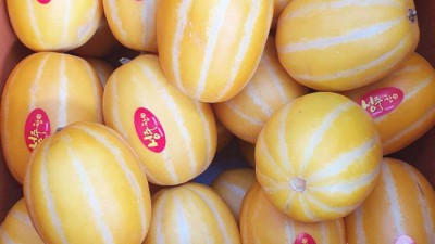 ✨참외바르다 솔직 후기! 꿀피부 할인 득템 찬스?🍯